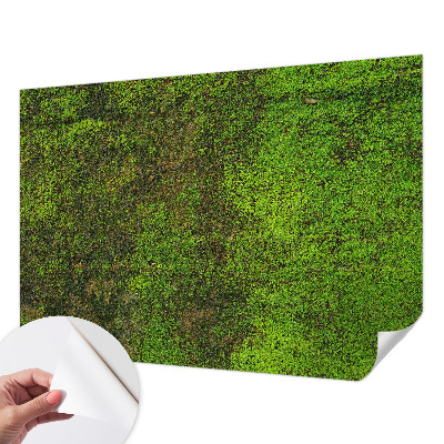 Fototapete in 3D-Optik mit grünem Teppichmotiv