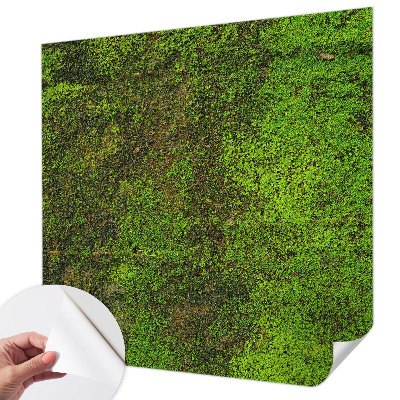 Fototapete in 3D-Optik mit grünem Teppichmotiv