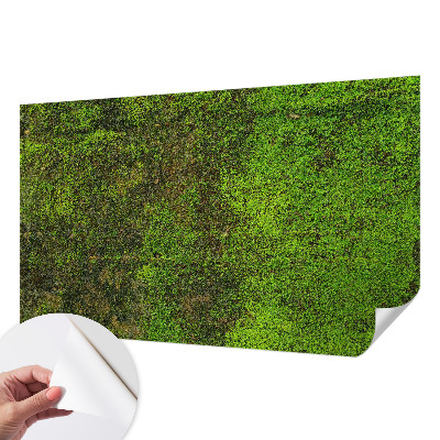 Fototapete in 3D-Optik mit grünem Teppichmotiv
