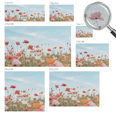 Motivtapete fürs Wohnzimmer mit Mohnblumenmotiv