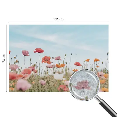 Motivtapete fürs Wohnzimmer mit Mohnblumenmotiv