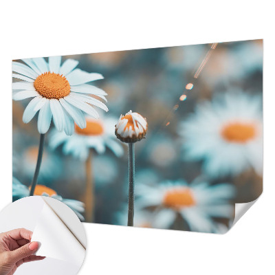 Selbstklebende Fototapete fürs Kinderzimmer mit Motiv einer Kamillenblüte in warmen Farben