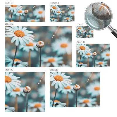 Selbstklebende Fototapete fürs Kinderzimmer mit Motiv einer Kamillenblüte in warmen Farben