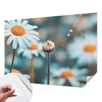 Selbstklebende Fototapete fürs Kinderzimmer mit Motiv einer Kamillenblüte in warmen Farben