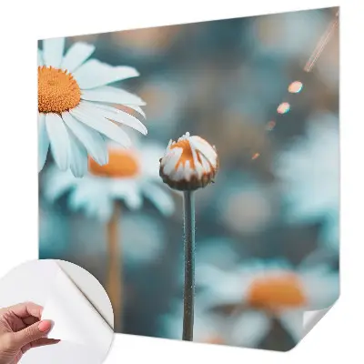 Selbstklebende Fototapete fürs Kinderzimmer mit Motiv einer Kamillenblüte in warmen Farben