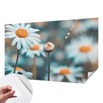 Selbstklebende Fototapete fürs Kinderzimmer mit Motiv einer Kamillenblüte in warmen Farben