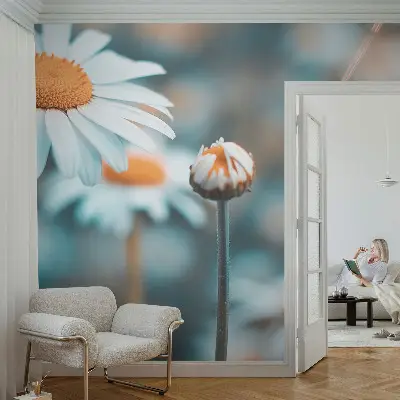 Selbstklebende Fototapete fürs Kinderzimmer mit Motiv einer Kamillenblüte in warmen Farben