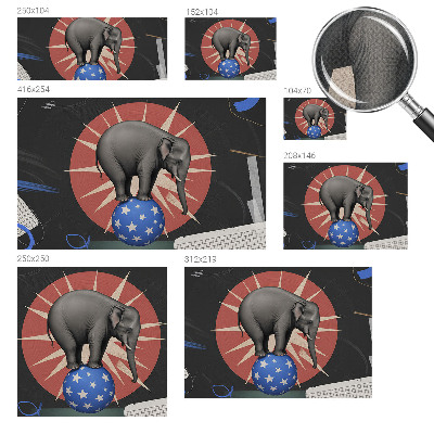 Selbstklebende Fototapete Zirkuselefant