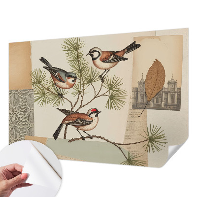 Selbstklebende Fototapete fürs Schlafzimmer mit einer Vogelcollage als Motiv