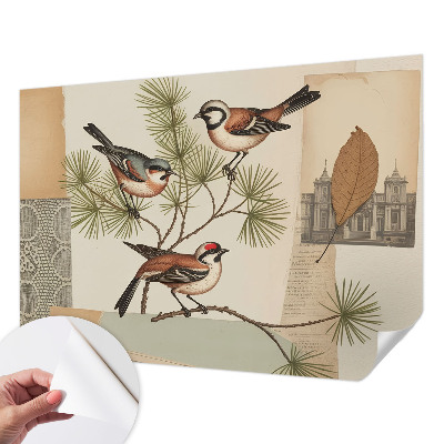Selbstklebende Fototapete fürs Schlafzimmer mit einer Vogelcollage als Motiv