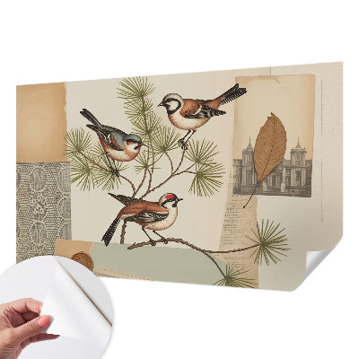 Selbstklebende Fototapete fürs Schlafzimmer mit einer Vogelcollage als Motiv