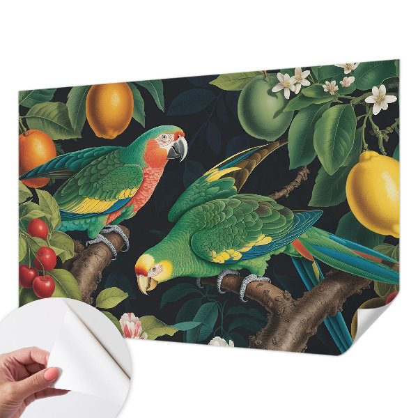 35D-Fototapete Tropisches Abenteuer