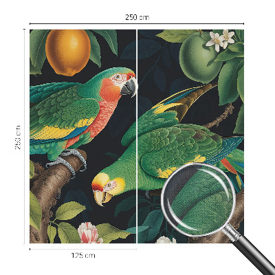 35D-Fototapete mit tropischem Abenteuer-Motiv