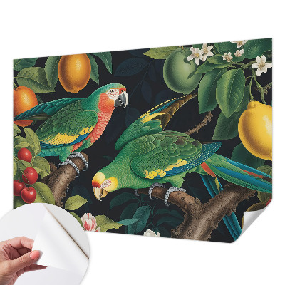 35D-Fototapete Tropisches Abenteuer