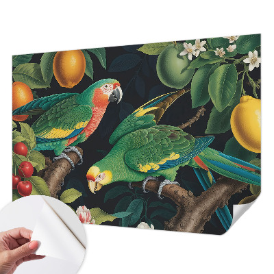 35D-Fototapete Tropisches Abenteuer