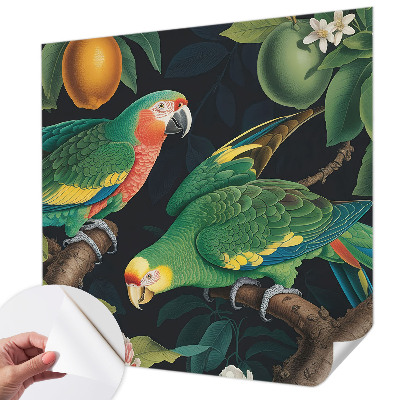 35D-Fototapete Tropisches Abenteuer