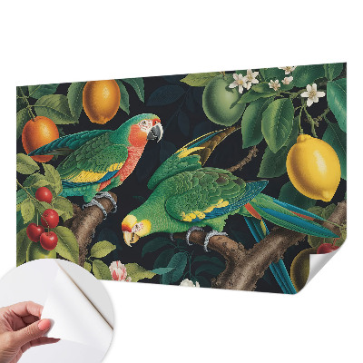 35D-Fototapete Tropisches Abenteuer