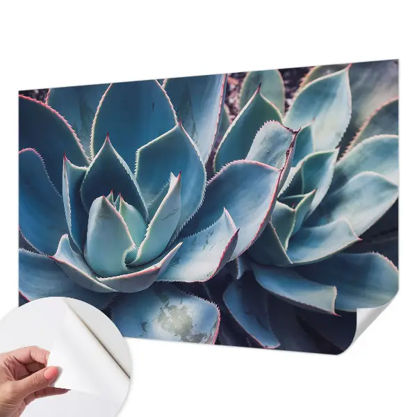 Hochwertige Bildtapete mit grünem Aloe‑Motiv