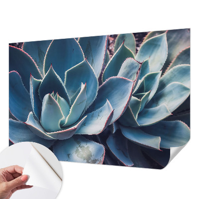 Hochwertige Bildtapete mit grünem Aloe‑Motiv
