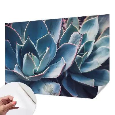 Hochwertige Bildtapete mit grünem Aloe‑Motiv