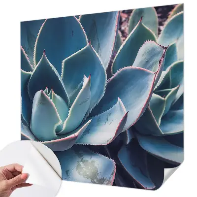 Hochwertige Bildtapete mit grünem Aloe‑Motiv