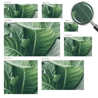 Selbstklebende Fototapete für die Wand mit Motiv 