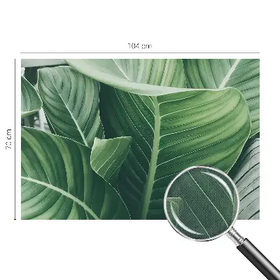 Selbstklebende Fototapete für die Wand mit Motiv 