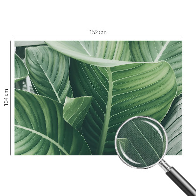 Selbstklebende Fototapete für die Wand Grüner Frieden