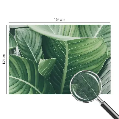 Selbstklebende Fototapete für die Wand mit Motiv 