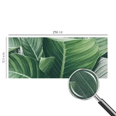 Selbstklebende Fototapete für die Wand mit Motiv 
