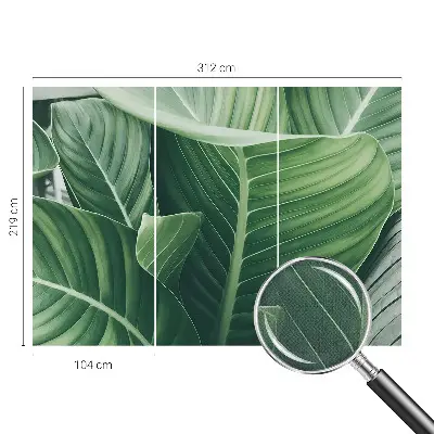 Selbstklebende Fototapete für die Wand mit Motiv 