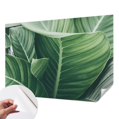 Selbstklebende Fototapete für die Wand Grüner Frieden