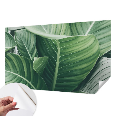 Selbstklebende Fototapete für die Wand Grüner Frieden