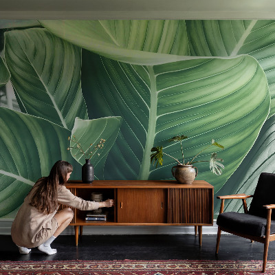 Selbstklebende Fototapete für die Wand Grüner Frieden