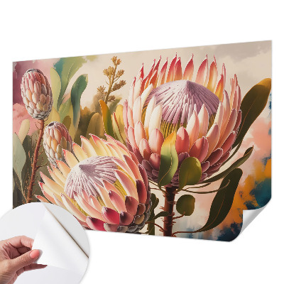 Motivtapete nach Maß mit Protea-Blüten