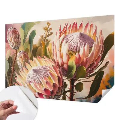 Motivtapete nach Maß mit Protea-Blüten