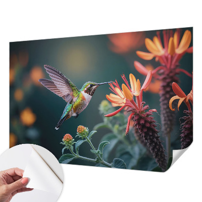 Selbstklebende Fototapete mit Kolibri- und Blumenmotiv