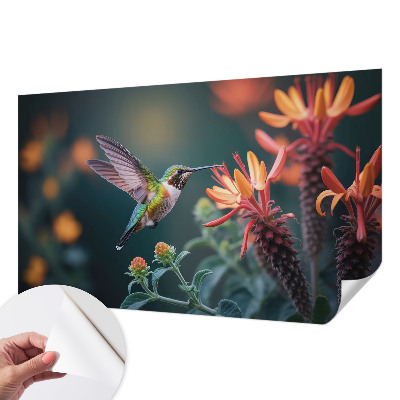 Selbstklebende Fototapete mit Kolibri- und Blumenmotiv