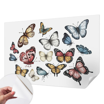 Selbstklebende Fototapete fürs Wohnzimmer Paradiesfalter