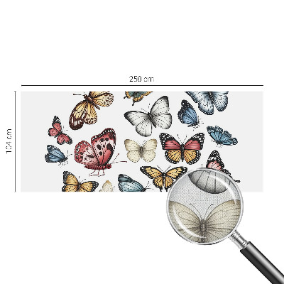 Selbstklebende Fototapete fürs Wohnzimmer Paradiesfalter