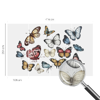 Selbstklebende Fototapete fürs Wohnzimmer Paradiesfalter