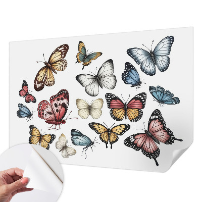 Selbstklebende Fototapete fürs Wohnzimmer Paradiesfalter