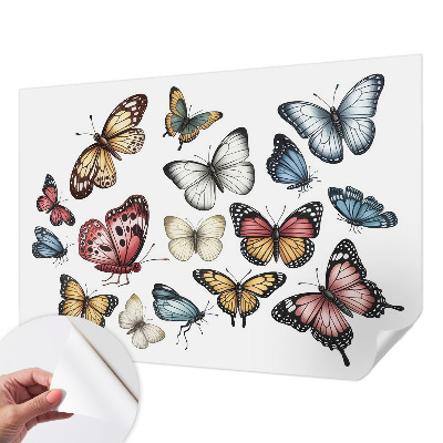 Selbstklebende Fototapete fürs Wohnzimmer Paradiesfalter