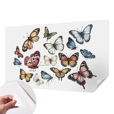 Selbstklebende Fototapete fürs Wohnzimmer Paradiesfalter