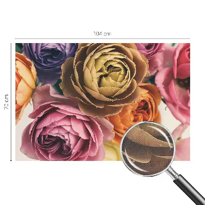 Fototapete in 3D-Optik mit bunten Rosen