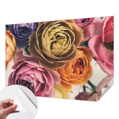 Fototapete in 3D-Optik mit bunten Rosen