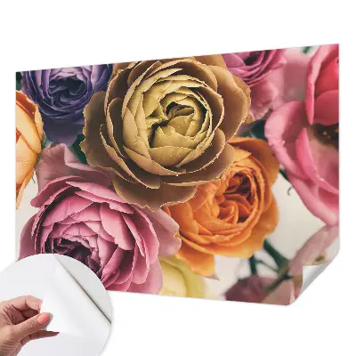 Fototapete in 3D-Optik mit bunten Rosen