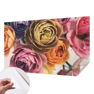 Fototapete in 3D-Optik mit bunten Rosen