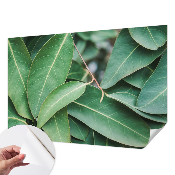 Fototapete nach Maß Grüne Blätter