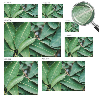 Fototapete nach Maß Grüne Blätter